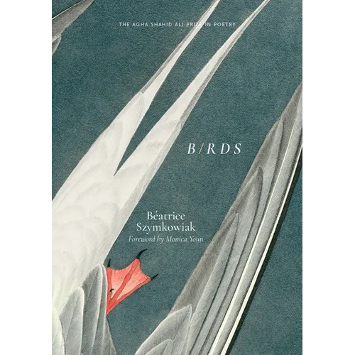 B/Rds - Paperback