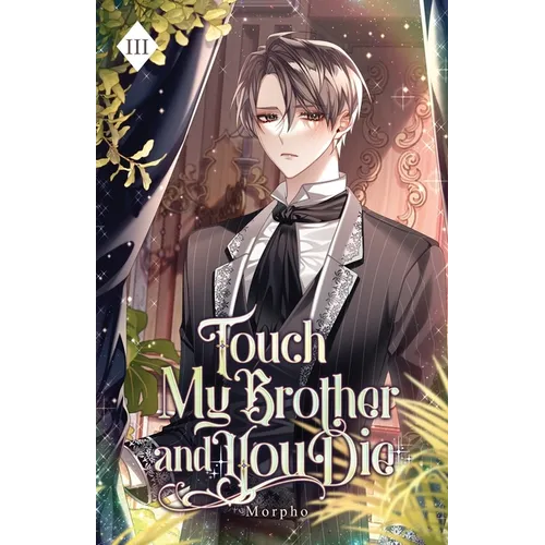 Touch My Brother and You Die: Volume III (Light Novel) - Paperback