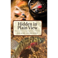Hidden in Plain View: Recognizing the Obvious-Exploiting the Obscure in Fly Fishing
