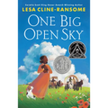 One Big Open Sky - Hardcover