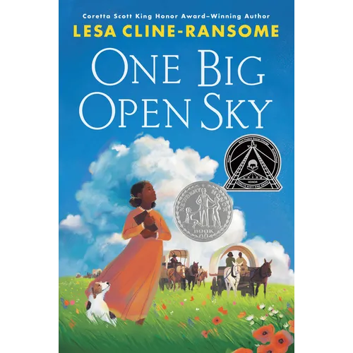 One Big Open Sky - Hardcover