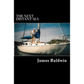 The Next Distant Sea: The 28-foot Sailboat Atom Continues Her Second Circumnavigation - Paperback