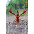 A Crawdad's Rhapsody - Paperback