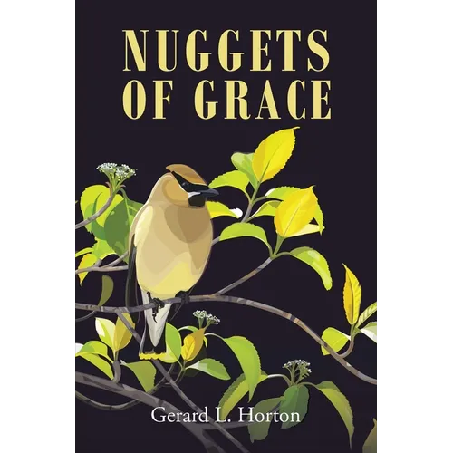 Nuggets of Grace - Paperback