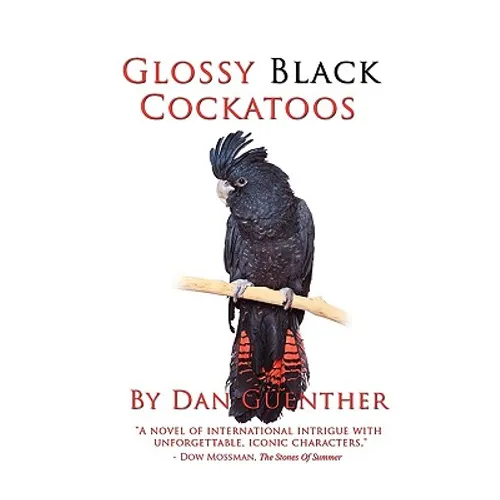 Glossy Black Cockatoos