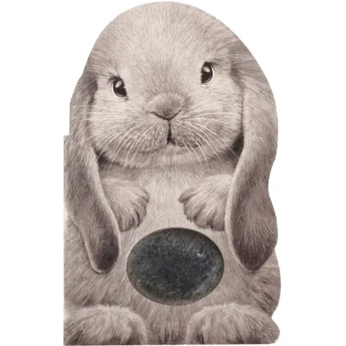 Furry Bunny - Board Book
