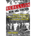 Rebellion Now and Forever: Mayas, Hispanics, and Caste War Violence in Yucatan, 1800a 1880