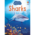 Sharks (Usborne Beginners) - Paperback