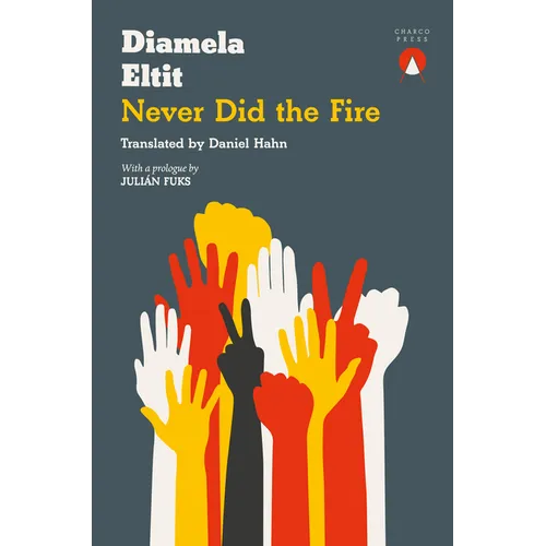 Never Did the Fire - Paperback