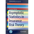 Asymptotic Statistics in Insurance Risk Theory - Paperback
