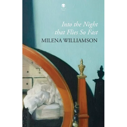 Into the Night that Flies So Fast - Paperback