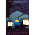 A Relative Stranger: Stories - Paperback