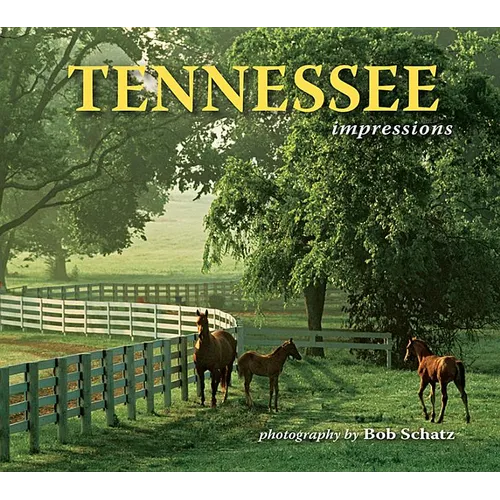 Tennessee Impressions - Paperback