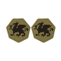 U.S. Army 108th Training Command OCP Patch w/ Hook Fastener (pair)