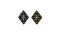 U.S. Army Combined Arms Support Command (CASCOM) OCP Patch w/ Hook Fastener (pair)