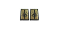 U.S. Army New York National Guard OCP Patch with Hook Fastener (pair)