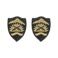U.S. Army Oregon National Guard OCP Patch with Hook Fastener (pair)