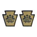 U.S. Army Pennsylvania National Guard OCP Patch with Hook Fastener (pair)