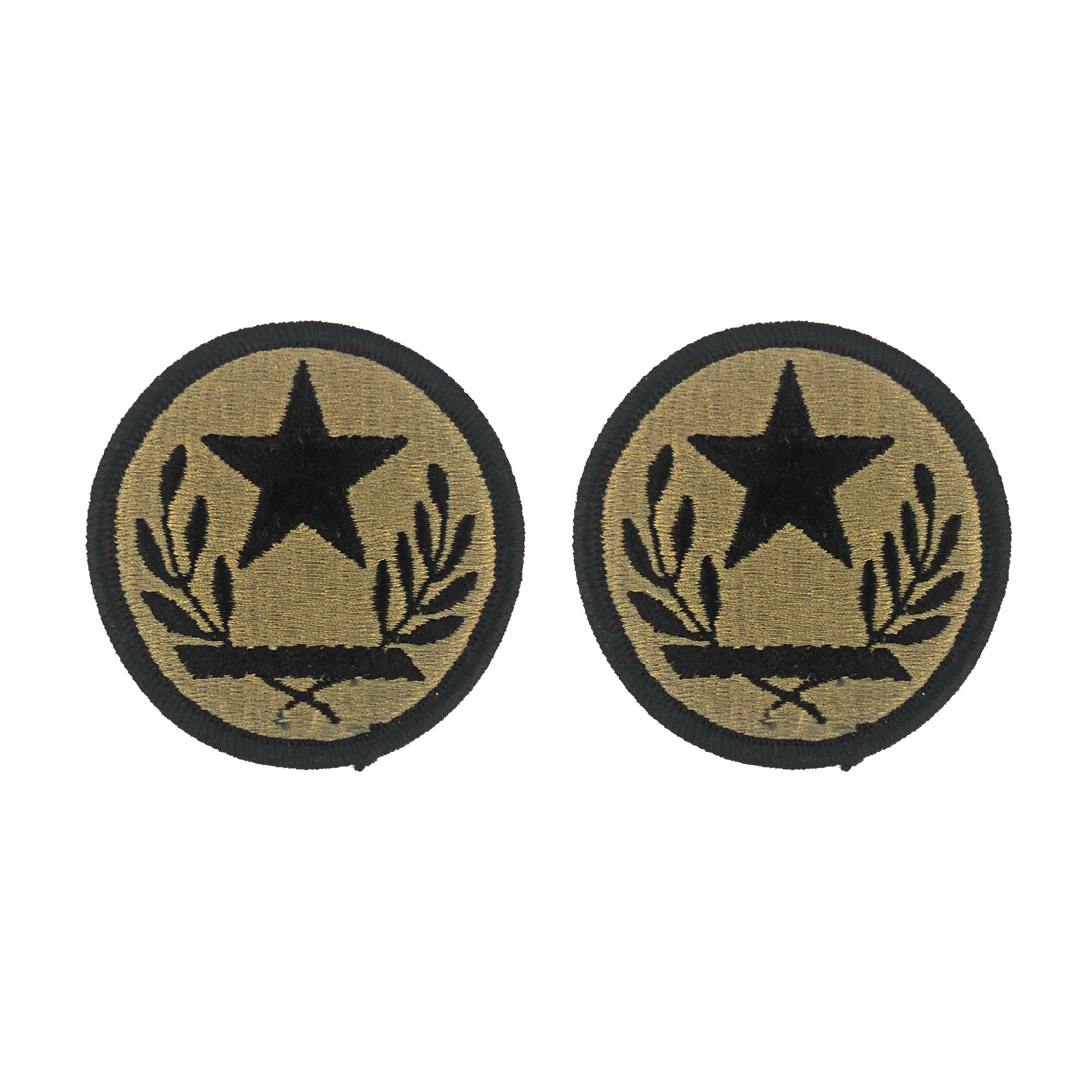 U.S. Army Texas Army National Guard OCP Patch w/Hook Fastener (prs)