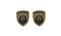 U.S. Army 160th Special Operations Aviation Regiment OCP Patch w/ Hook Fastener (pair)