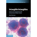 Intangible Intangibles - Paperback
