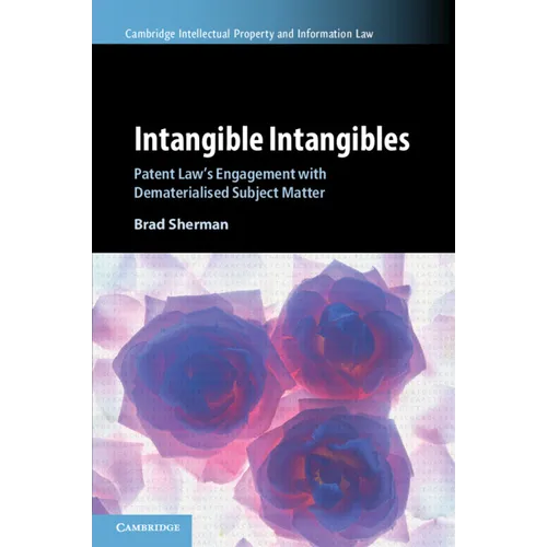 Intangible Intangibles - Paperback