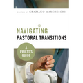 Navigating Pastoral Transitions: A Priest's Guide - Paperback