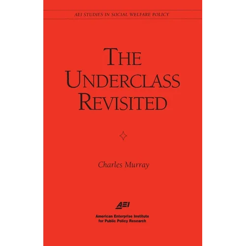 The Underclass Revisited - Paperback