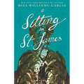 A Sitting in St. James - Hardcover