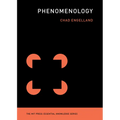 Phenomenology - Paperback