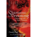 Shamanic Dreaming: Connecting with Your Inner Visionary - Paperback