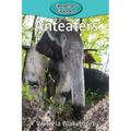 Anteaters - Paperback