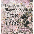 How Does an Almond Seed Grow into a Tree? - Hardcover