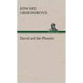 David and the Phoenix - Hardcover