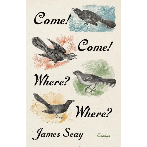 Come! Come! Where? Where?: Essays - Paperback
