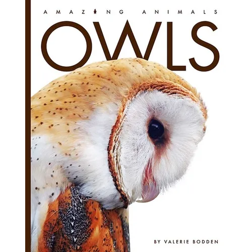 Owls - Paperback