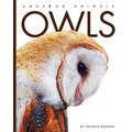 Owls - Paperback