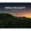 While We Slept - Paperback