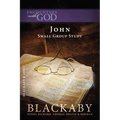 The Gospel of John - Paperback
