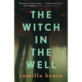 The Witch in the Well - Paperback
