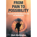 From Pain To Possibility - Paperback
