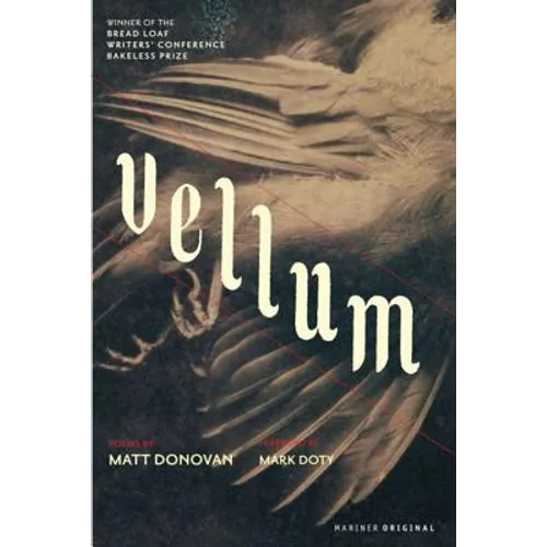 Vellum - Paperback
