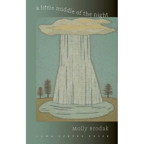 A Little Middle of the Night - Paperback