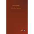 A Study of Splashes - Hardcover