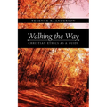 Walking the Way: Christian Ethics as a Guide - Paperback