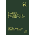 Reading Lamentations Intertextually - Paperback