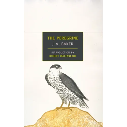 The Peregrine - Paperback