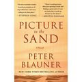 Picture in the Sand - Paperback