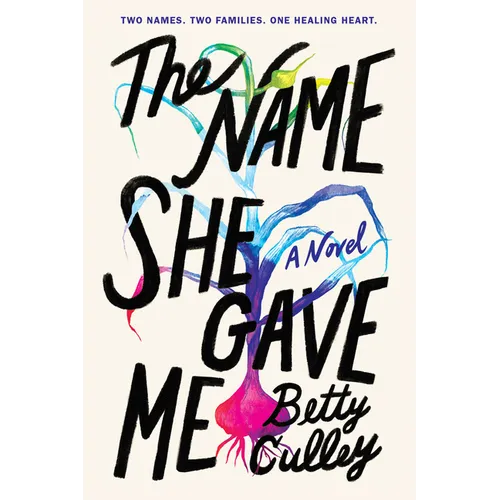 The Name She Gave Me - Paperback