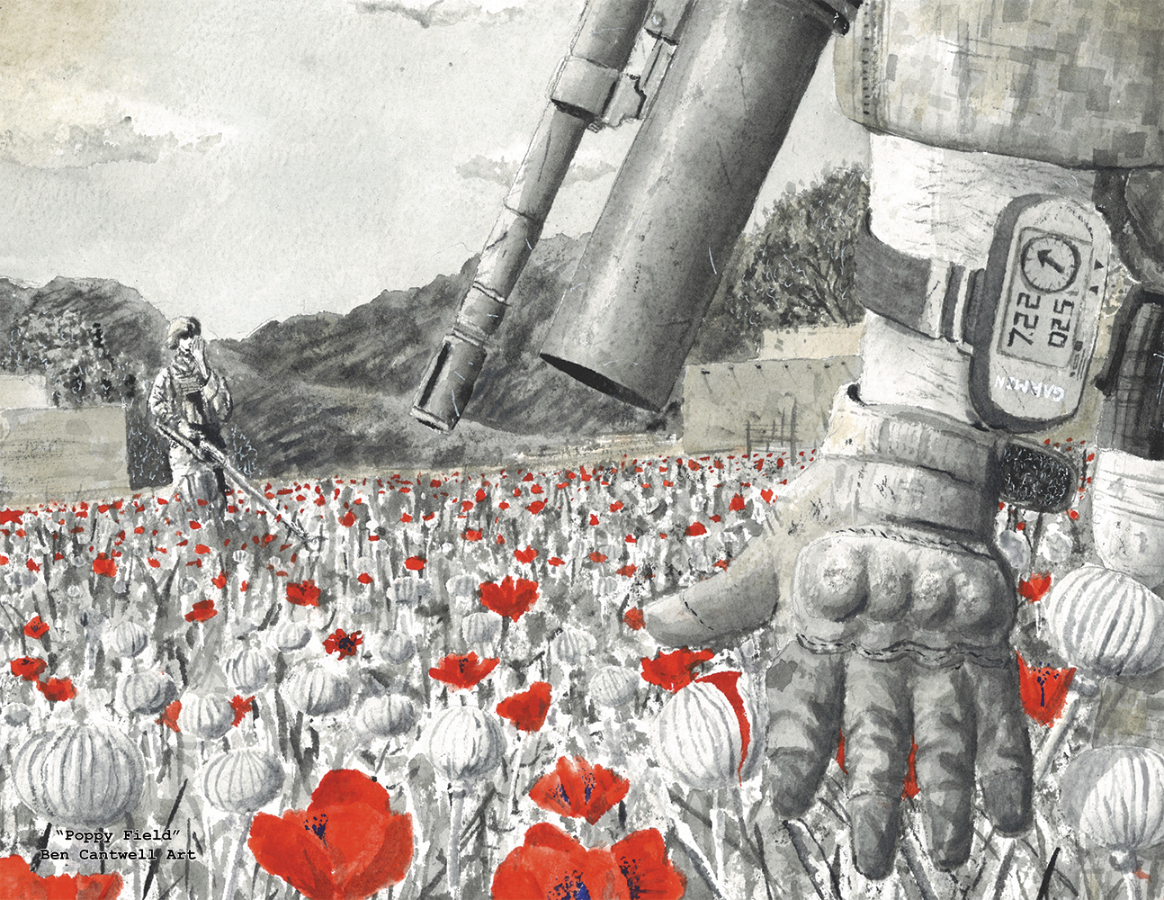 Poppy Field